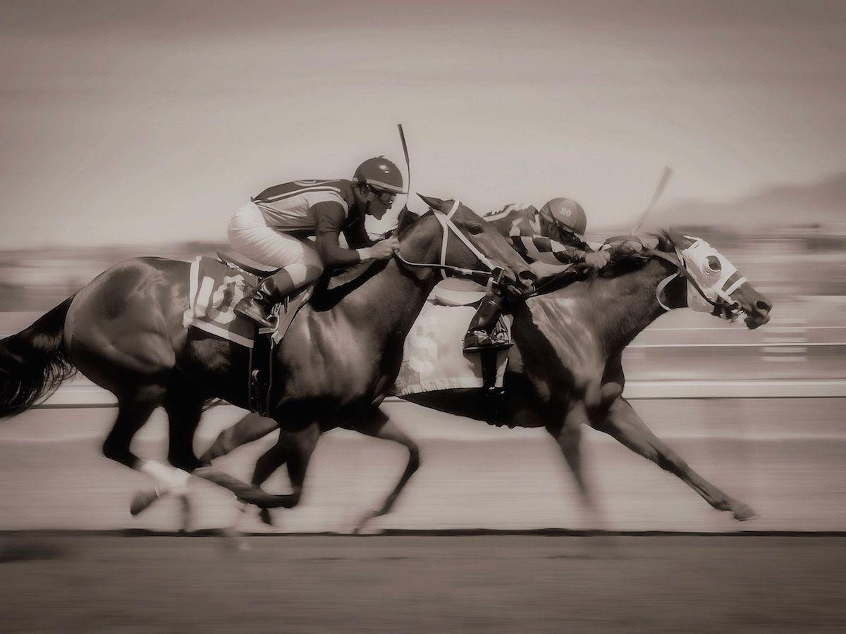 The Plaza Hotel Pioneer Park El Paso Exterior photo Thoroughbred horses racing